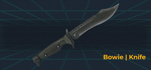 Bowie Knife skin