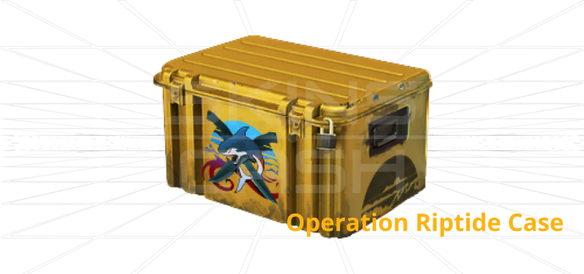 CS2 Operation Riptide Case