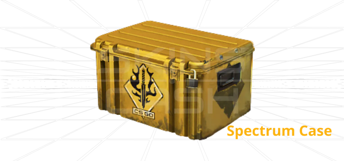 CS2 Spectrum Case