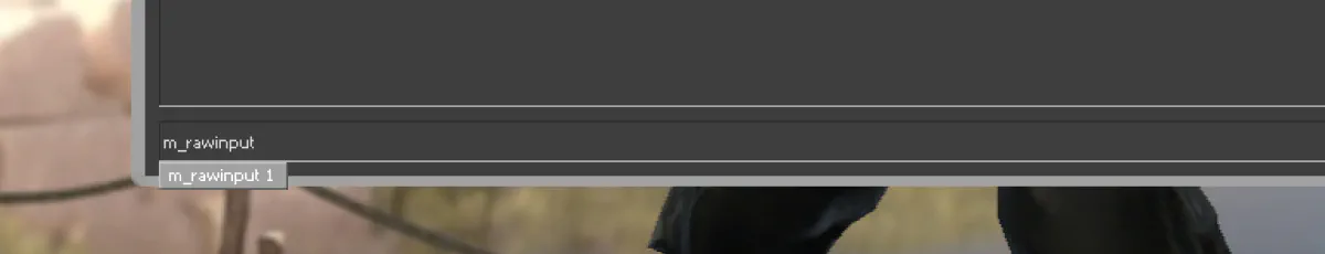 raw input CS GO