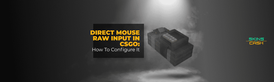 Direct Mouse Raw Input in CS:GO — How to Configure