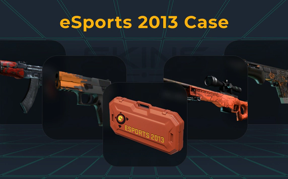 esports-2013-case