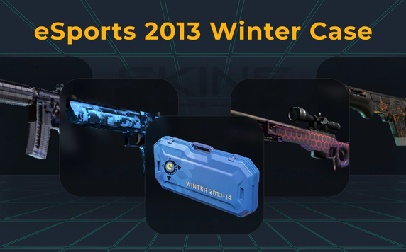 esports-2013-winter-case