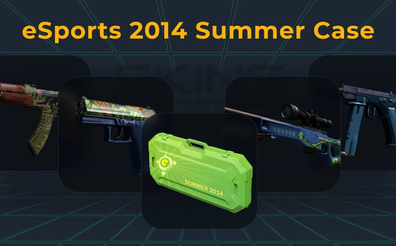 esports-2014-summer-case