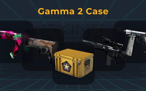 gamma-2-case