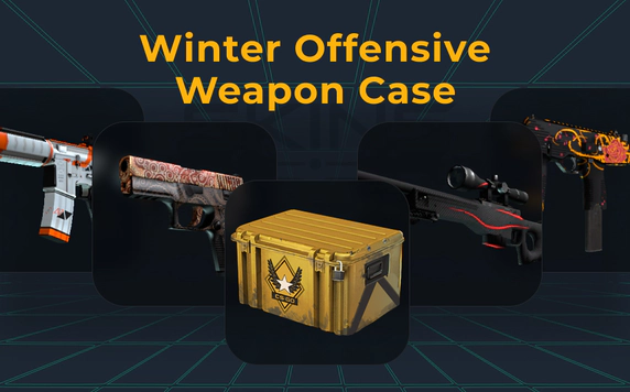 winter-offensive-weapon-case